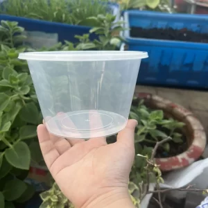Hộp nhựa tròn Microwave 550ml