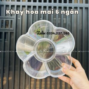 Khay Hoa Mai Trong